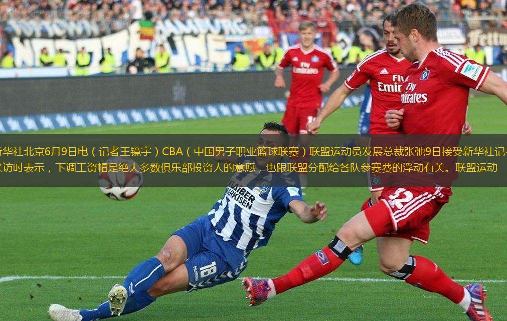 受国内球迷